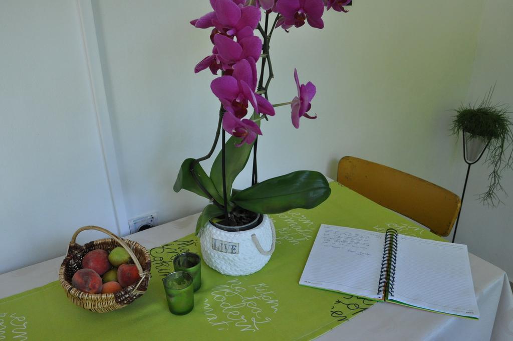 Apartment Marioni Buzet Εξωτερικό φωτογραφία