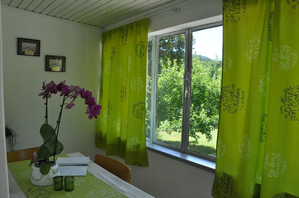 Apartment Marioni Buzet Εξωτερικό φωτογραφία