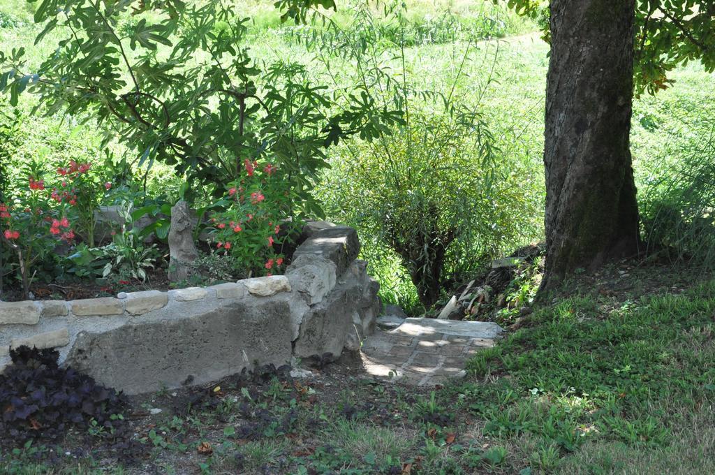 Apartment Marioni Buzet Εξωτερικό φωτογραφία