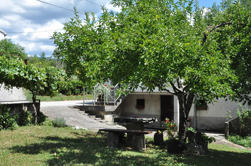 Apartment Marioni Buzet Εξωτερικό φωτογραφία
